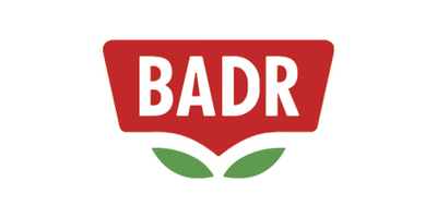 بدر بدر